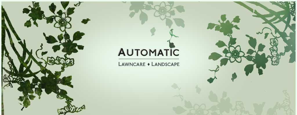 Automatic Lawncare & Landspaces
